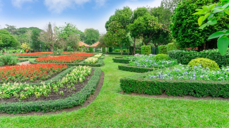 Shrub Replacement detail